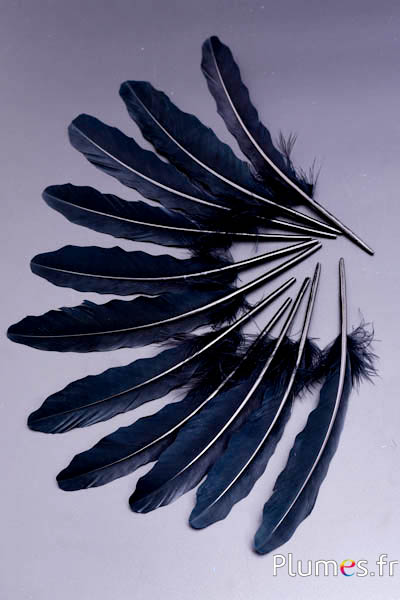 Oie motif vague - 15-21 cm - noir
